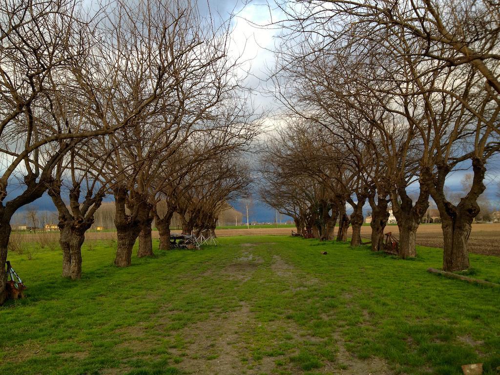 Corte Mainolda Castellucchio Εξωτερικό φωτογραφία