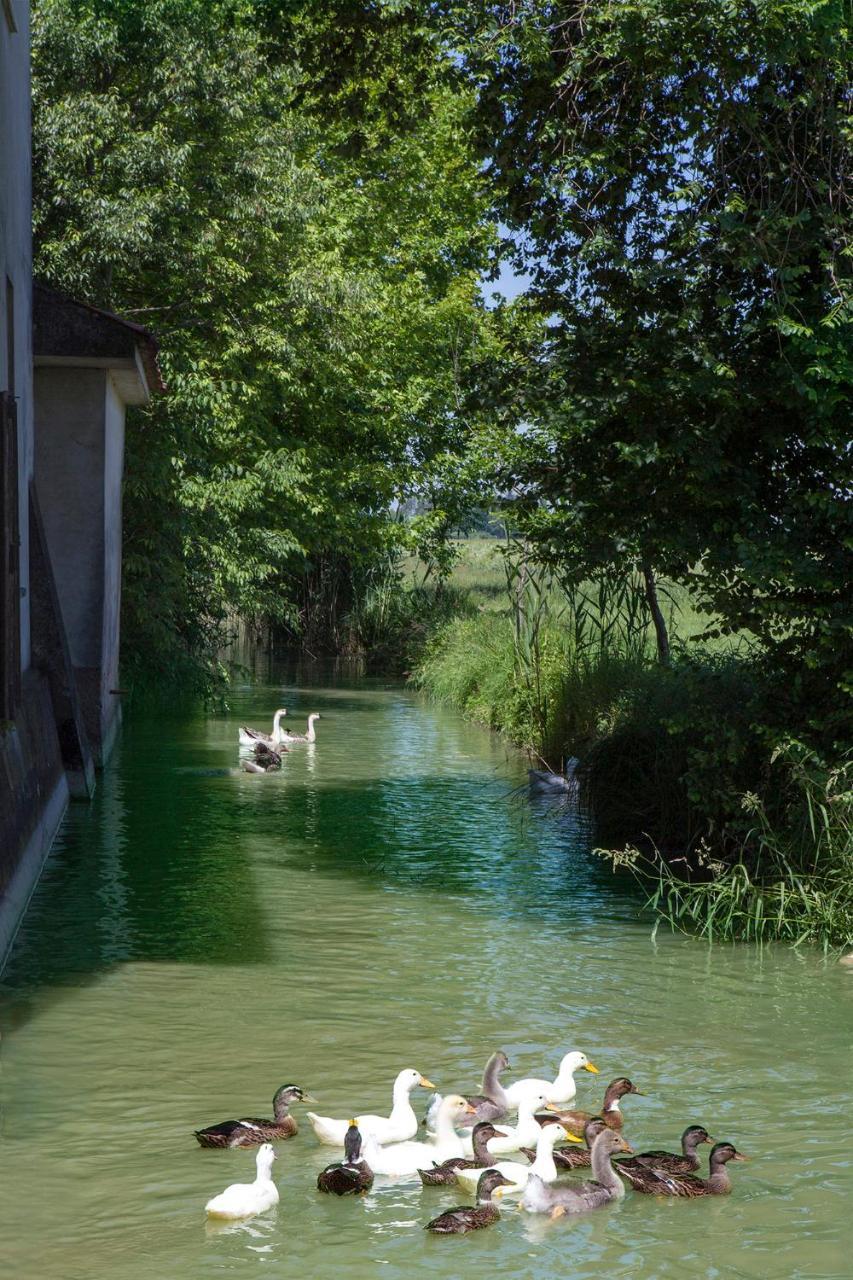 Corte Mainolda Castellucchio Εξωτερικό φωτογραφία
